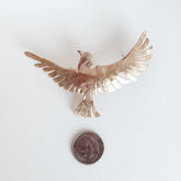 Dove in Flight - abigailheche